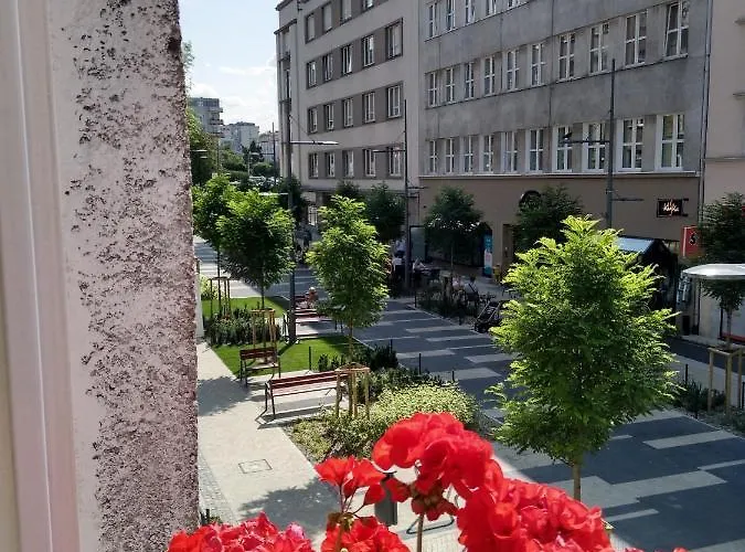 Abrahama 23 * 格丁尼亚